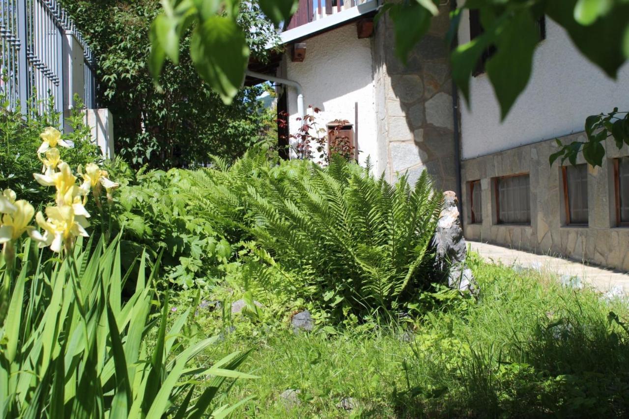 Готель Casa Per Ferie Beatorosaz Чезана-Торинезе Екстер'єр фото
